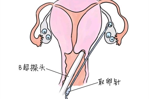 http://hangzhou.huochezhan.net/post/205.html|杭州供卵助孕