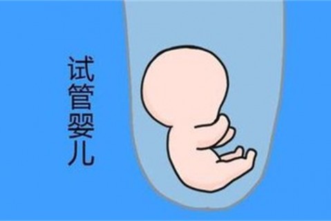 培养杭州捐卵宝宝艺术细胞的小技巧