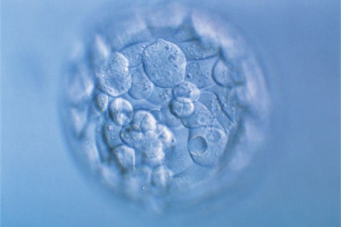 http://hangzhou.huochezhan.net/post/200.html|杭州新闻中心