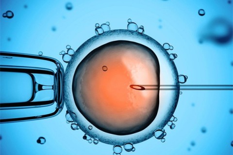 http://hangzhou.huochezhan.net/post/199.html|杭州供卵助孕